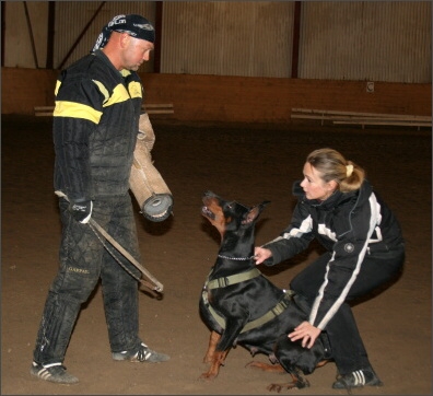 Training in Estonia 11/2007